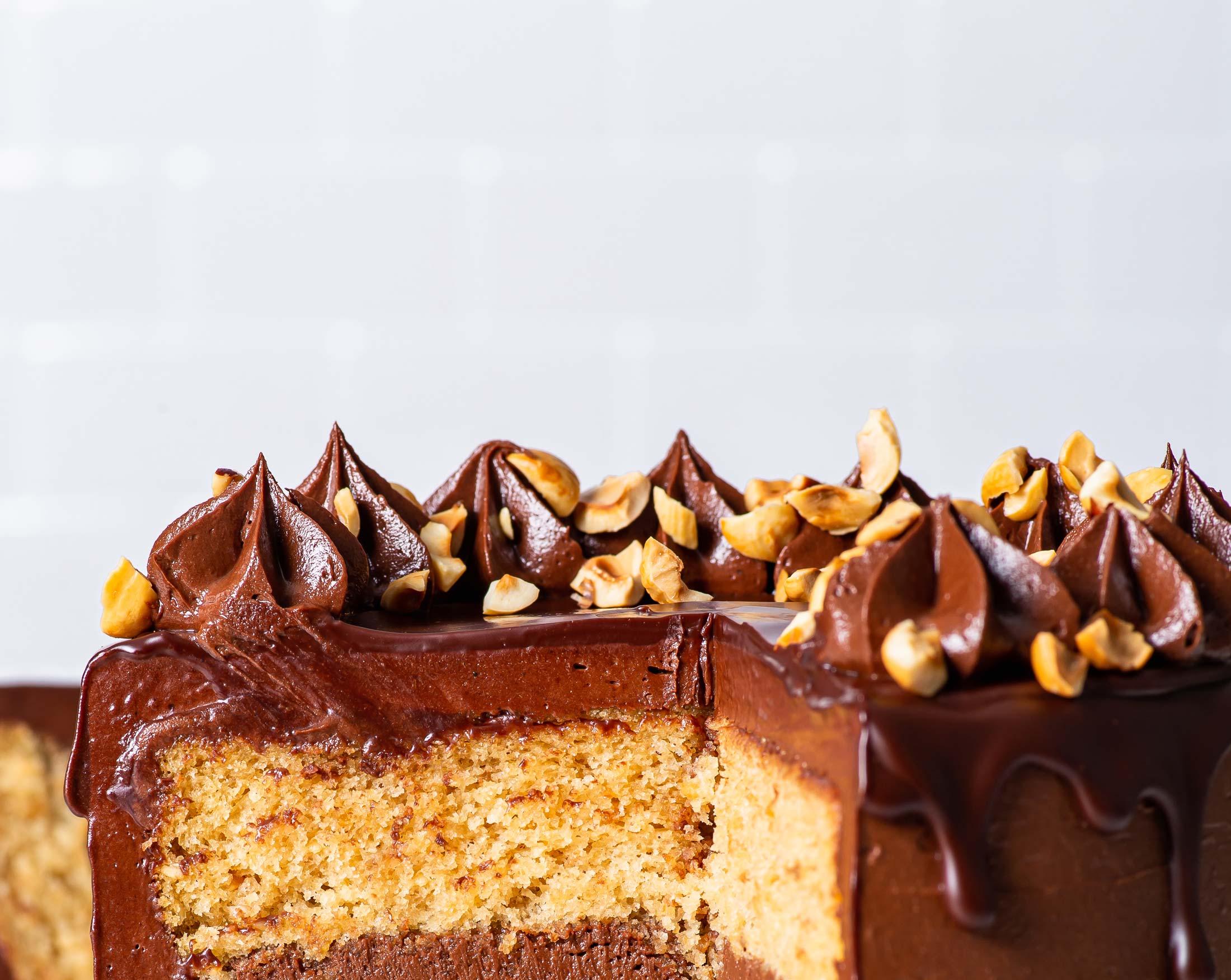 Chocolate Hazelnut Cake